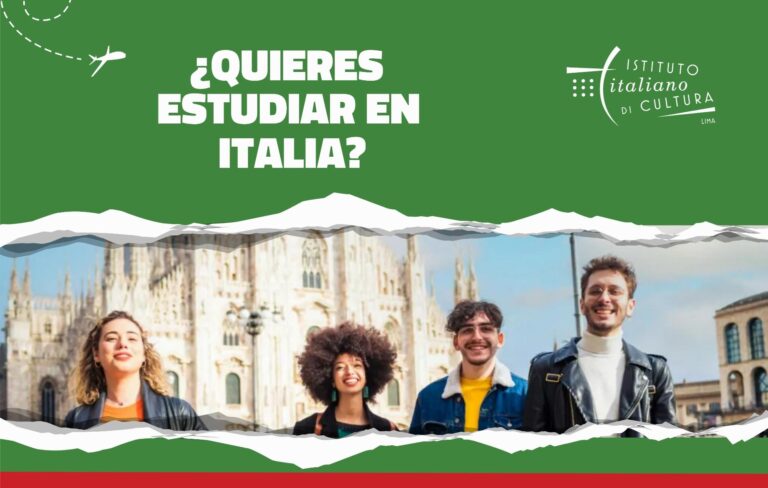 gráfica Estudios en Italia web 1
