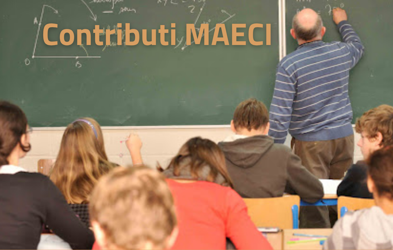 Contributi in favore delle istituzioni scolastiche straniere